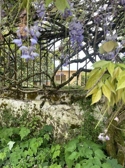 Gite Lilas Ideal Pour 4 Pers Capian エクステリア 写真